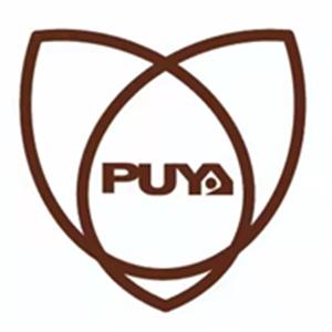 Puya(普冉半导体)